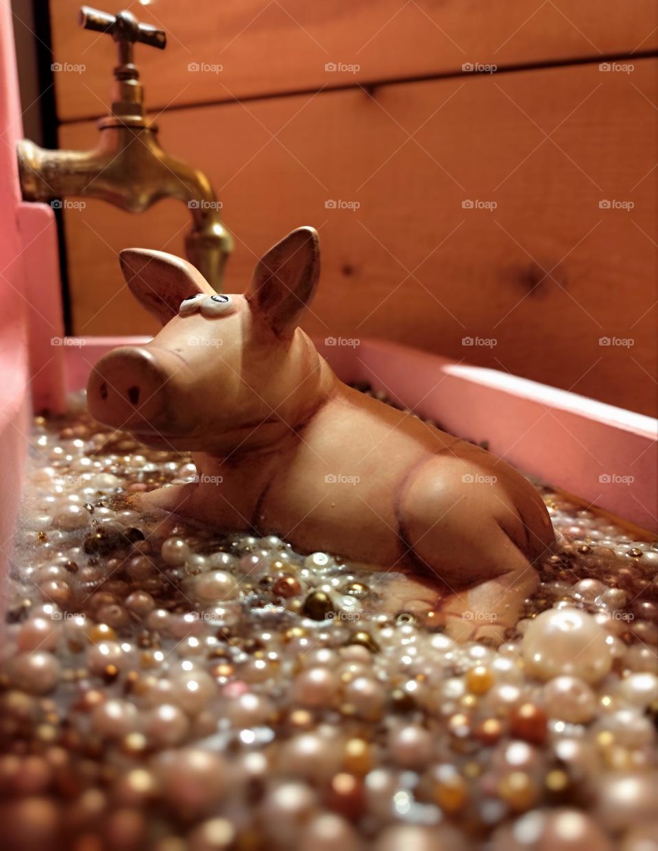 Pig Museum in Stuttgart