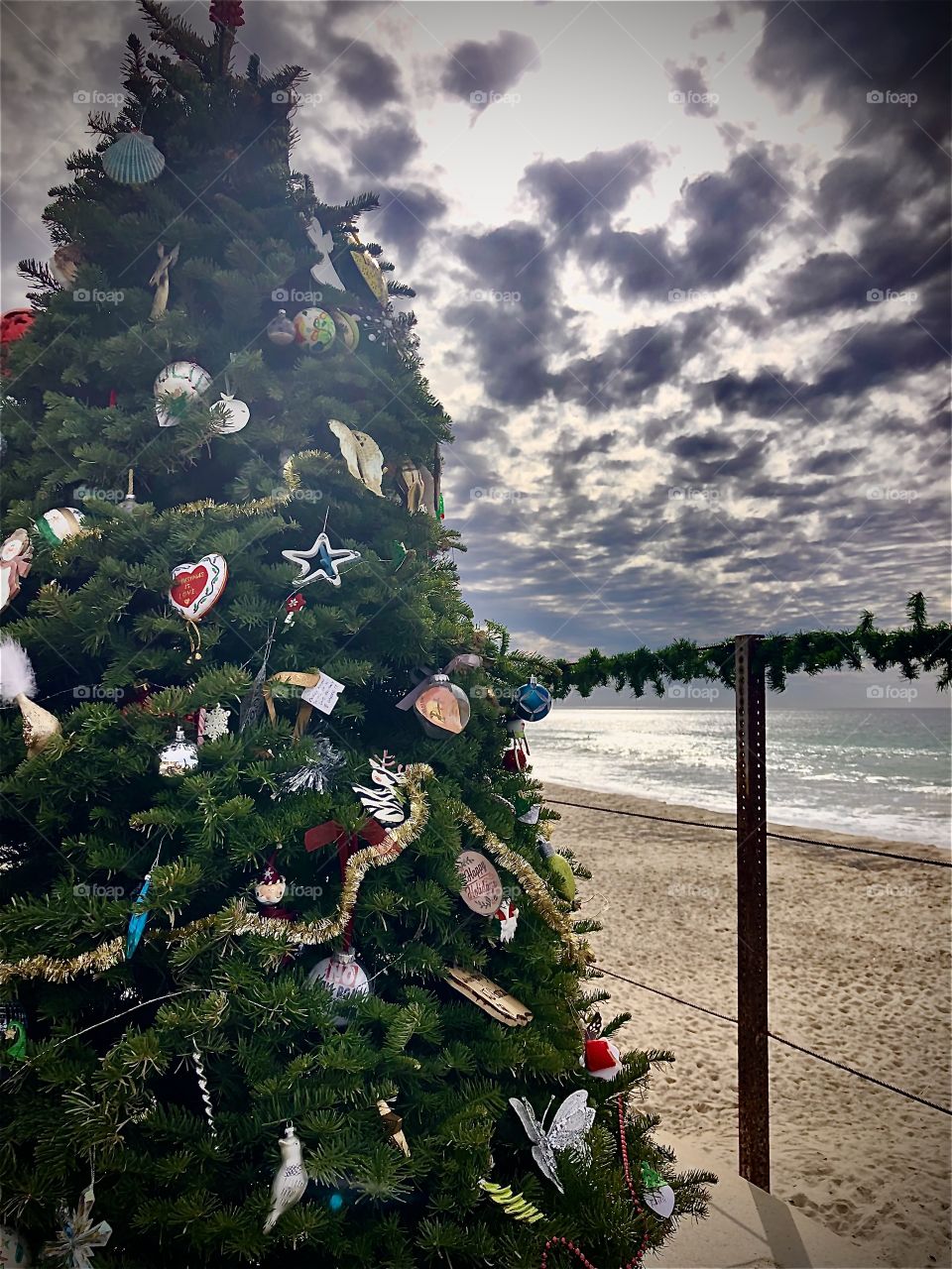 Foap Mission Holiday Decor! Christmas Tree On The Beach Southern California Coastline!