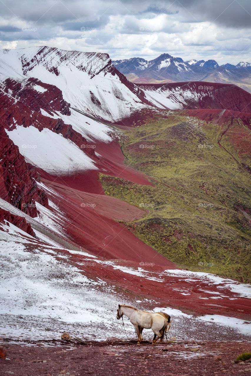 Memories from a beautiful crazy place called Red Valley that I was lucky enough to see it snowed, as in my opinion added to the contrast of the valleys colors