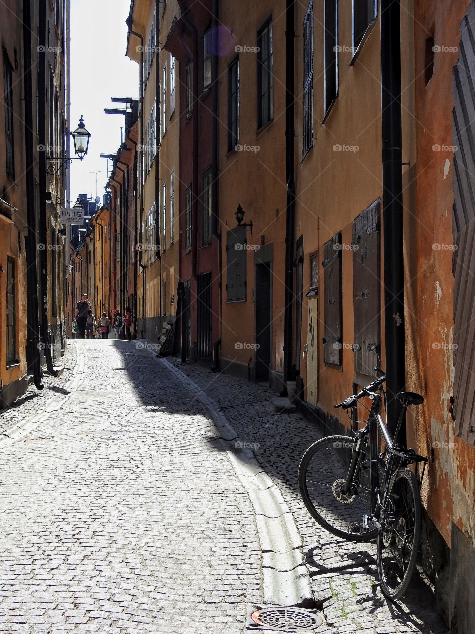 Walking a narrow alley