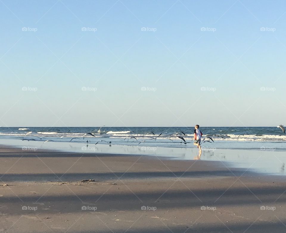 Boy chasing birds at beach, Daytona Beach, Florida