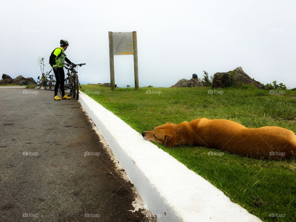 A cyclist and a sleeper dog