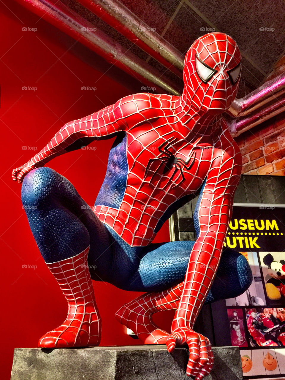 The Spider-Man 