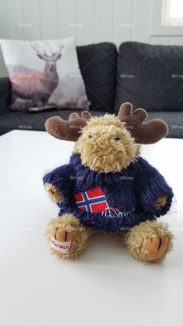 Norway souvenirs