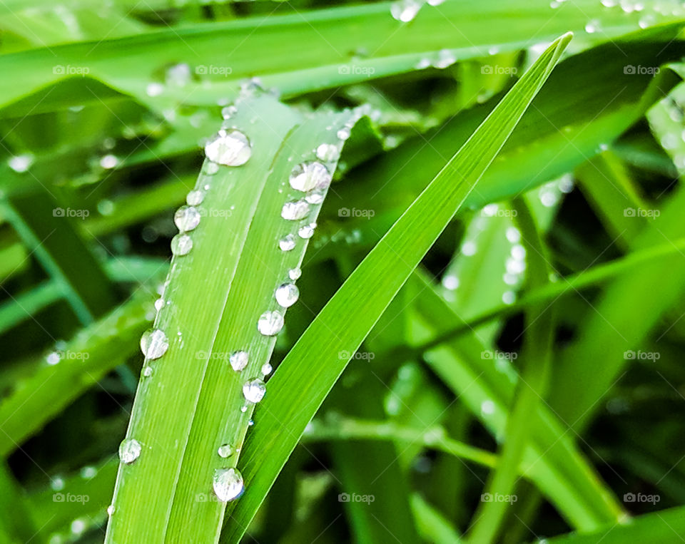 Macro shots!