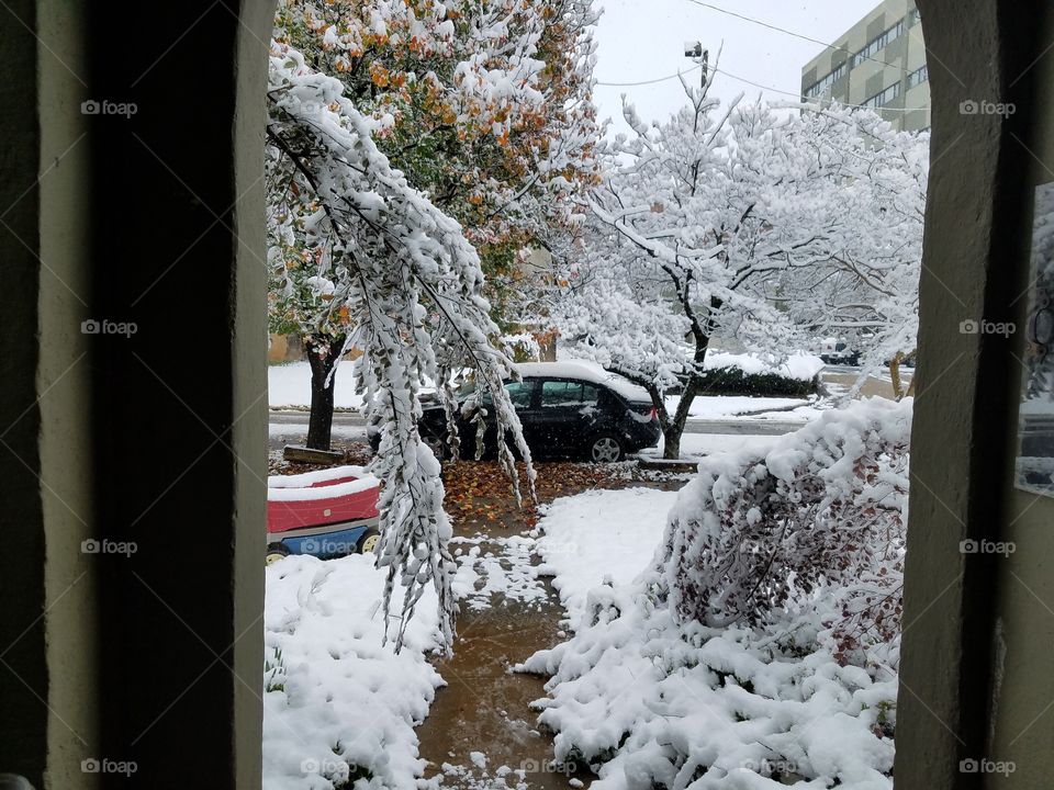 snowy front yard