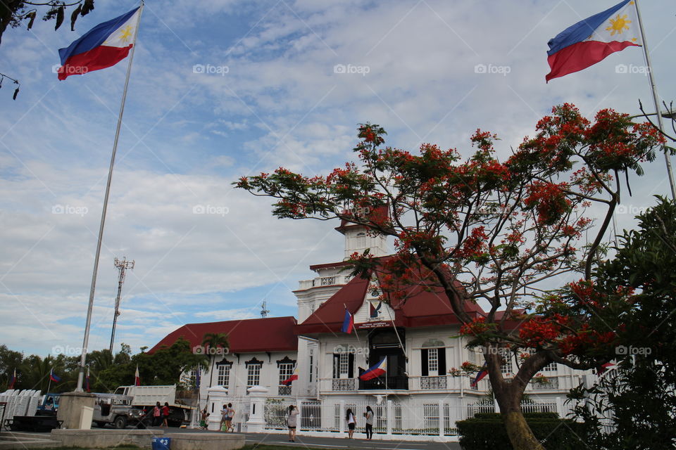 freedom monument