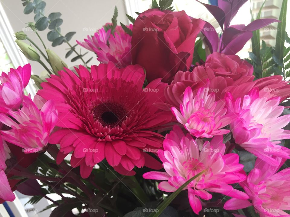 Mixed Pink flowers 