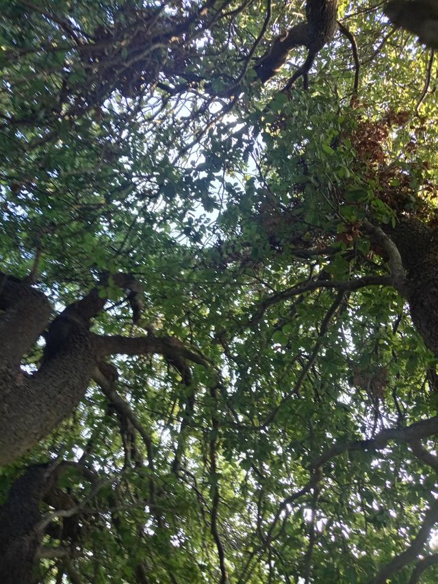 beautiful nature