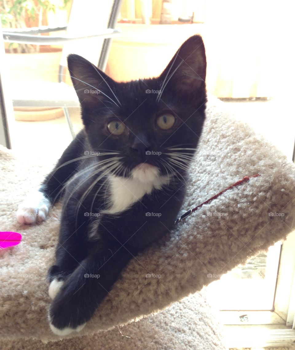 Zoe when she was little