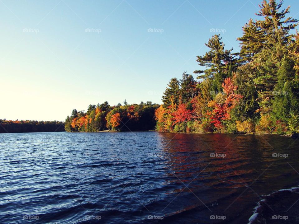 Autumn on the lake 