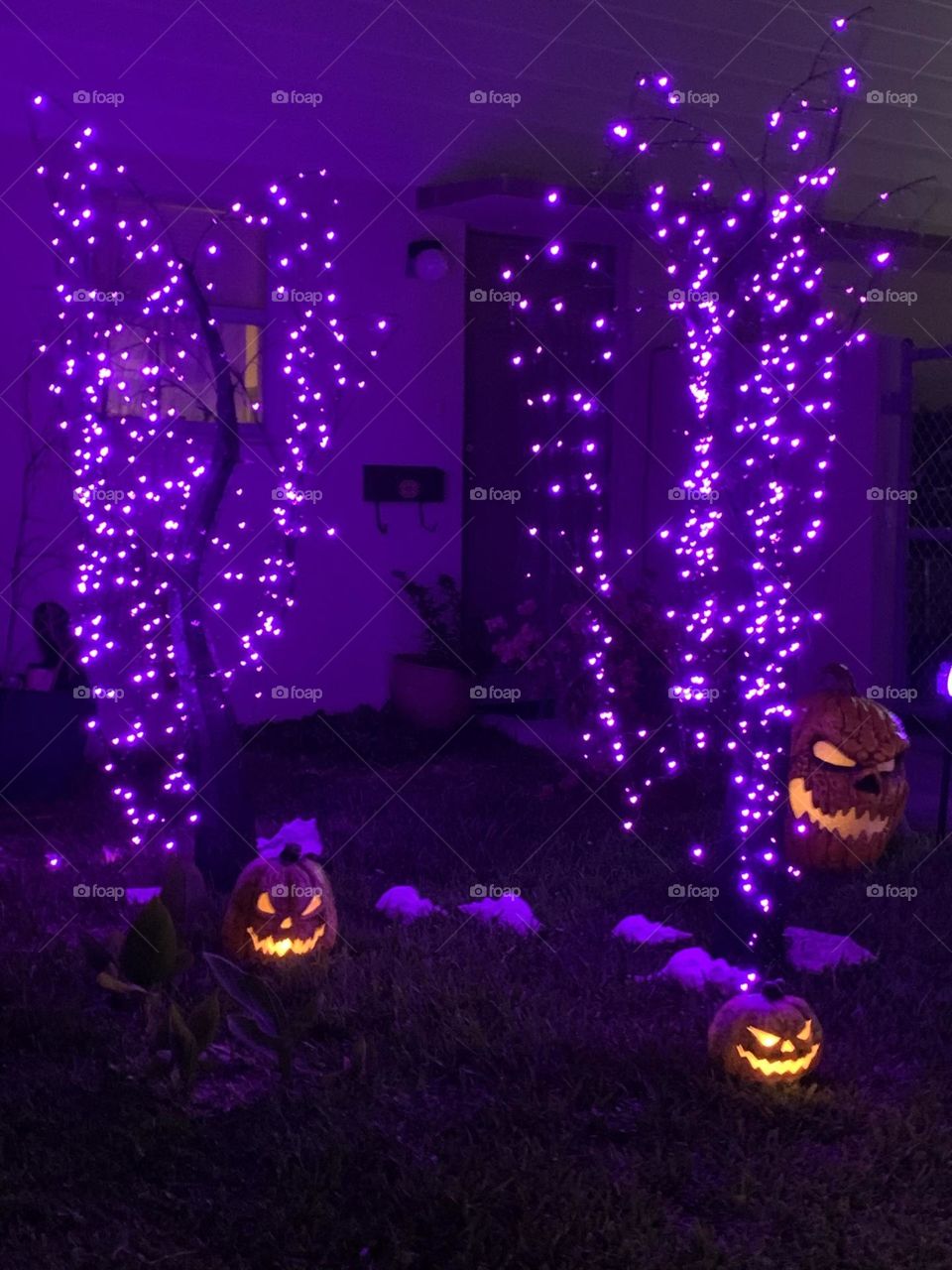 HAUNTED TREES AND PUMPKINS 