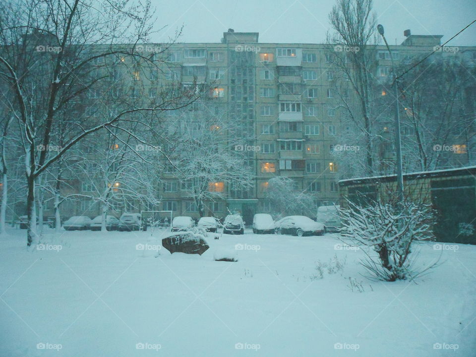 winter in the city of Kiev