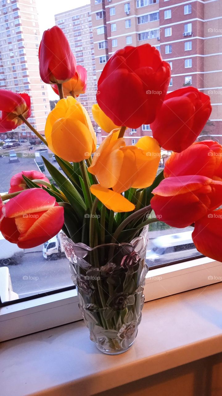vase with red tulips on the window sill