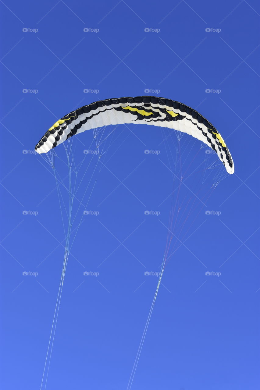 kite in the blue sky