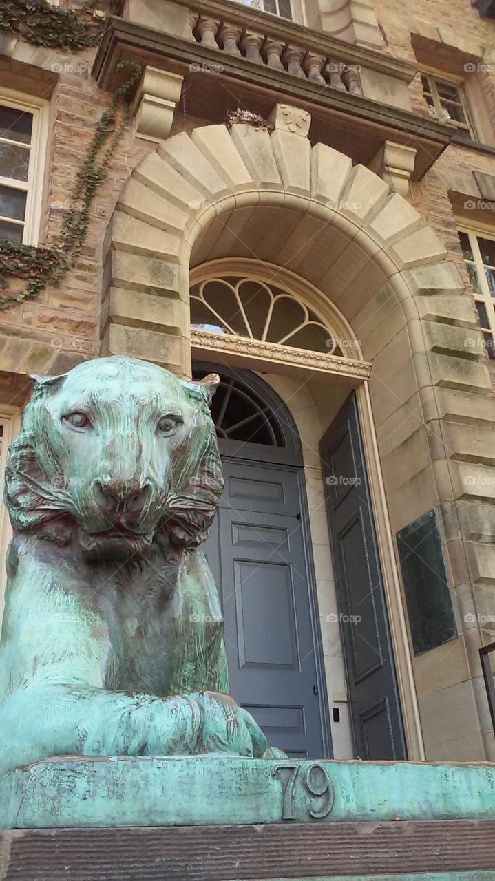 Princeton 4 - Tiger Guards the Hall