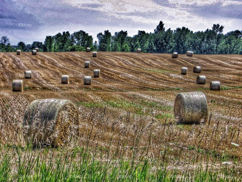 Hay Bales on a Roll