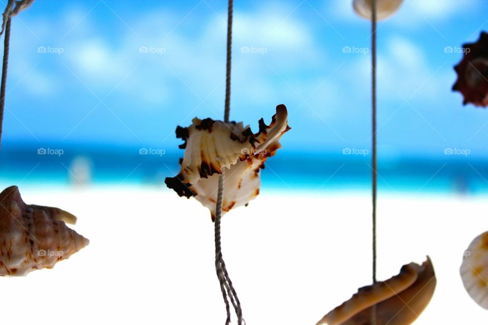 Seashell Decoration hanging on the string on the sandy beach 