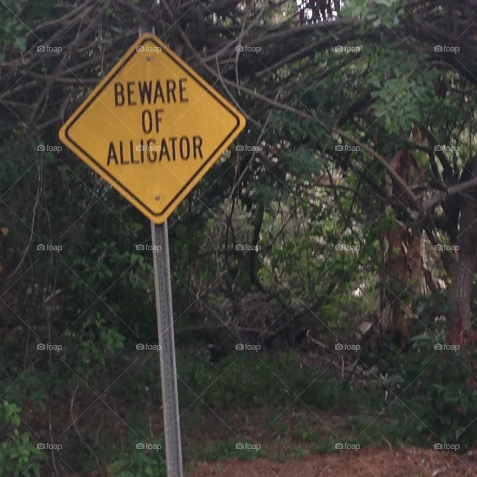 Gator warning 