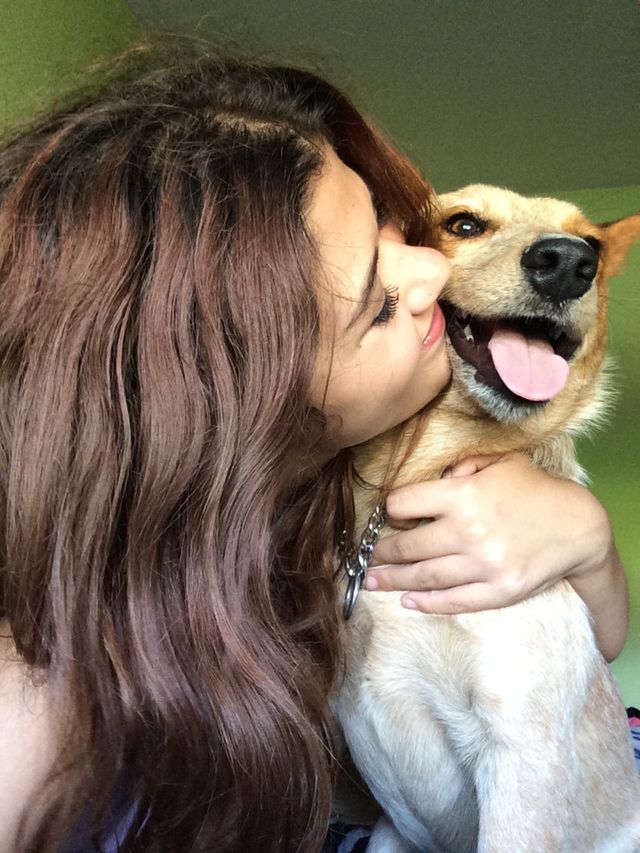 Doggo 