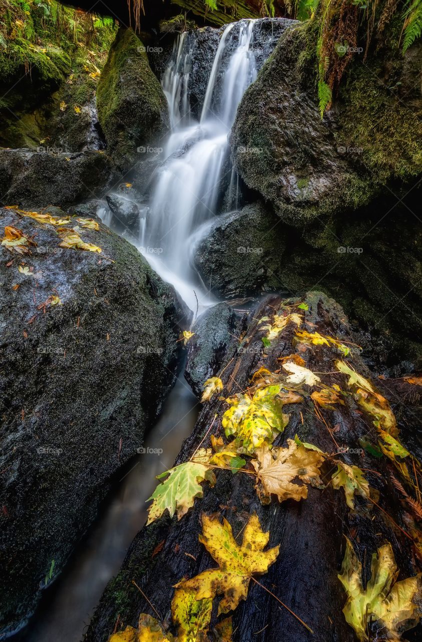 Autumn at Trillium Falls