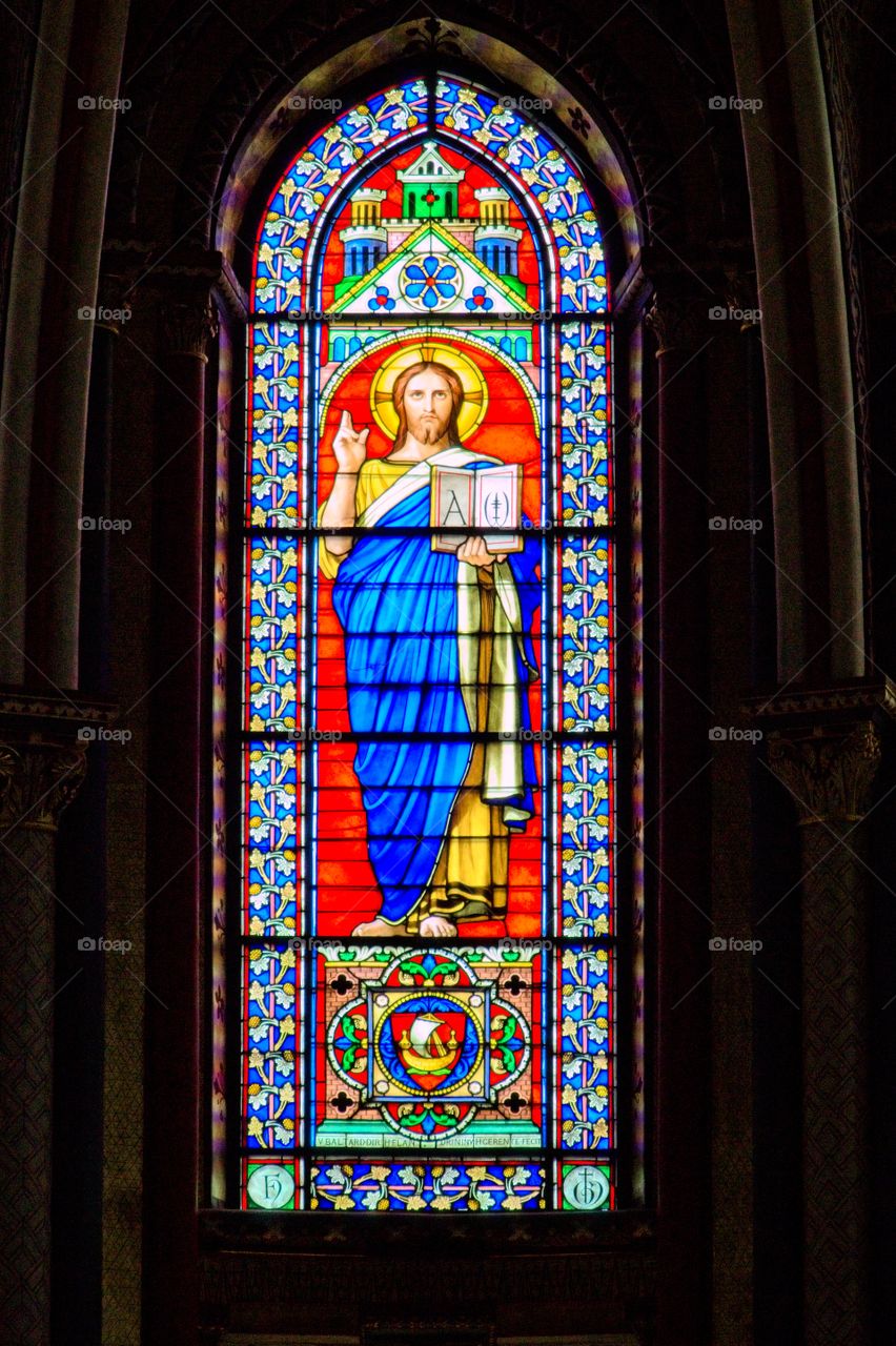detail of the ceiling of the cathedral country