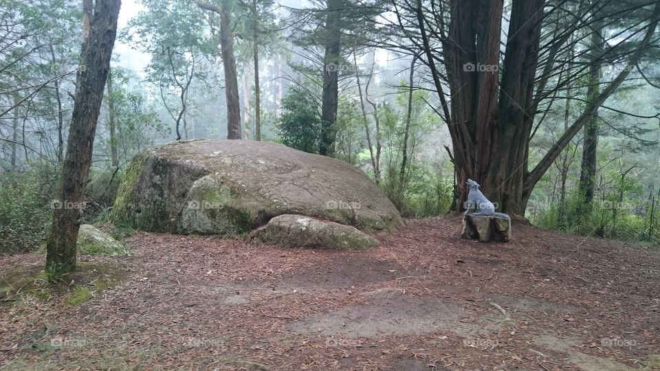 big rock and dog statue