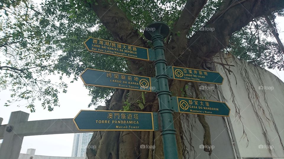 a foggy morning in Macau, the. signage point in a different way is still visible situated down the balete tree neat in the chapel of our Lady of Penha