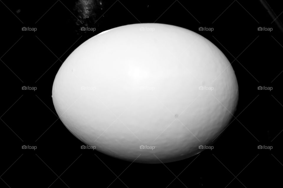 Egg