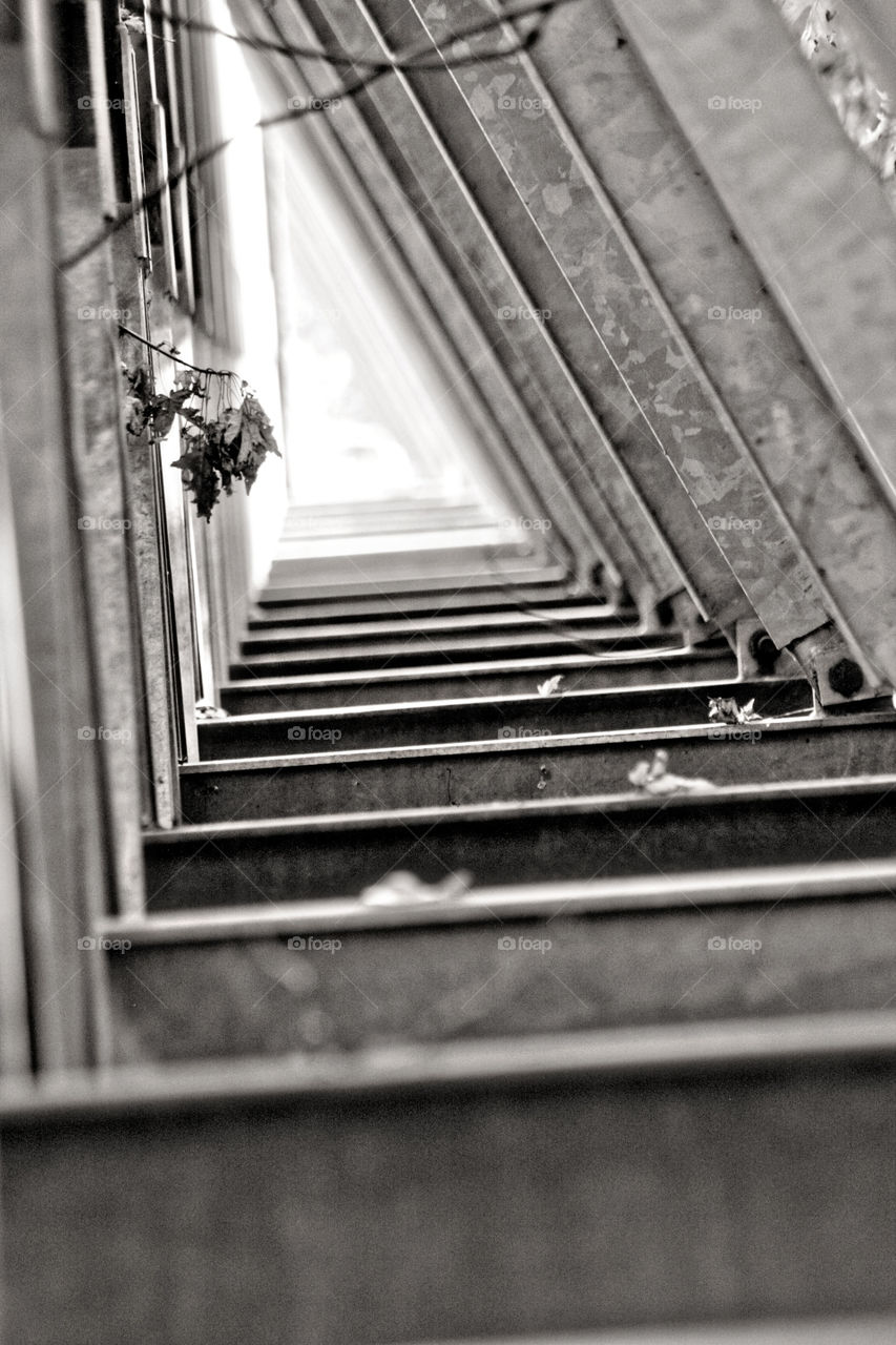 Bridge in black and white triangle