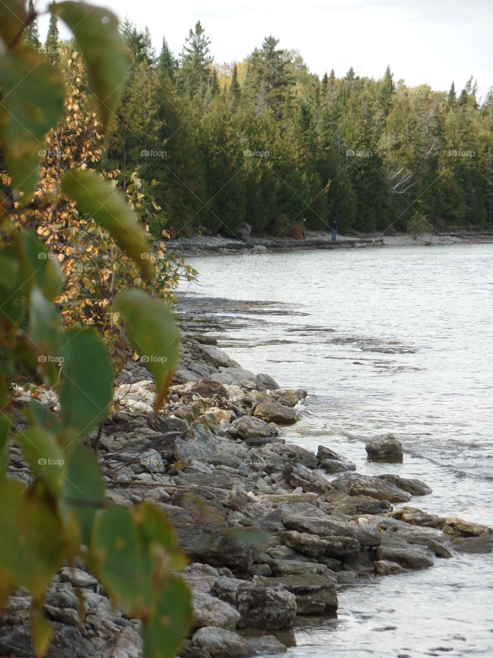 Drummond Island, Michigan 