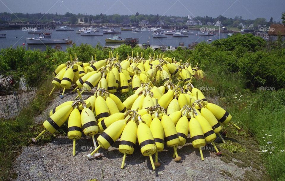 Lobster buoys in Maine 