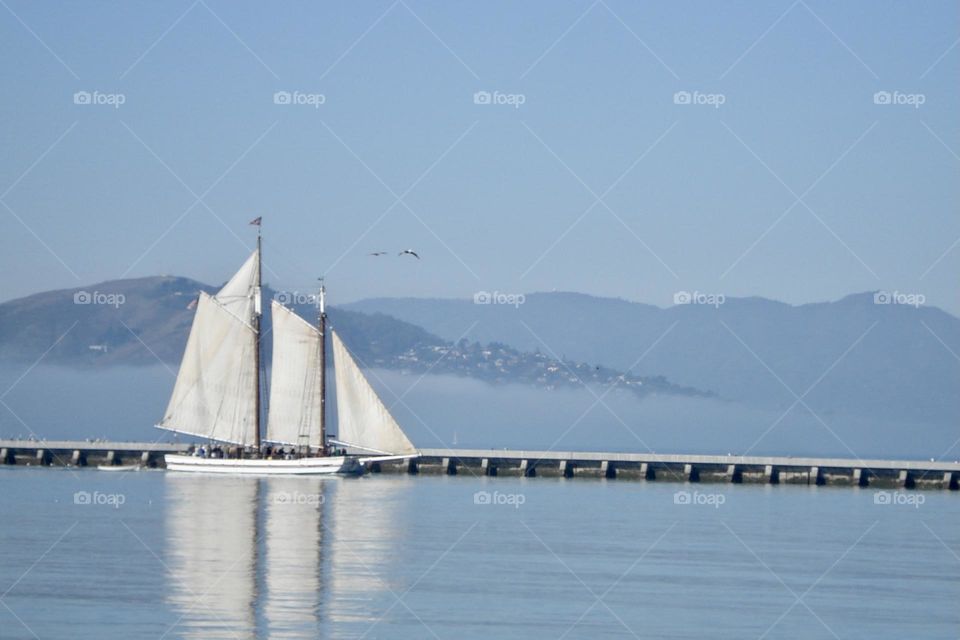 Sailboat with reflection in water at San Francisco 