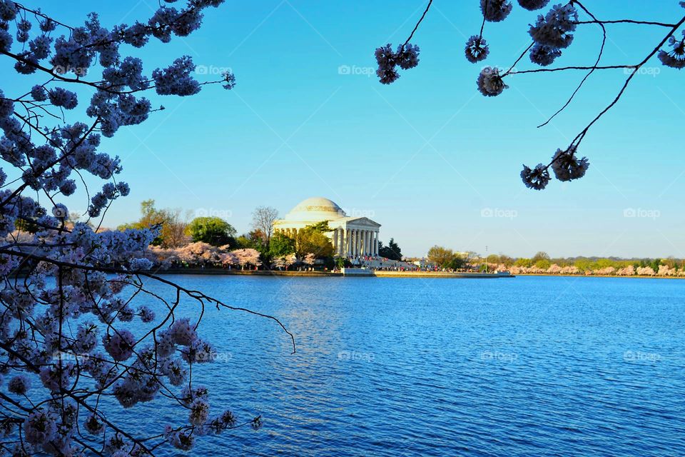 Jefferson Memorial