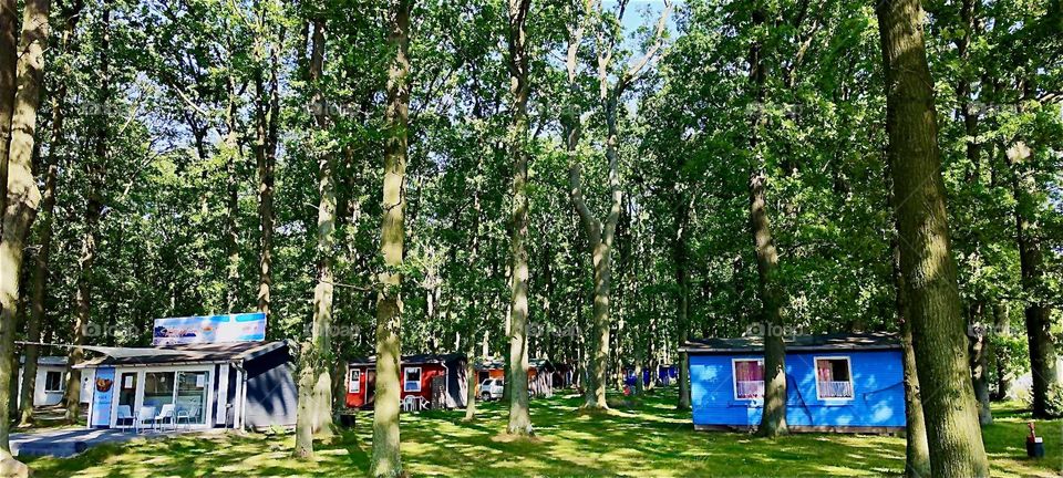 This idyllic place is located near the town of “Dranske” on the island “Rügen” in “Mecklenburg - Western Pomerania”, Germany. The late afternoon sun casts intriguing shadows thus creating intricate texturized patterns. 2024. Hypnotic Productions