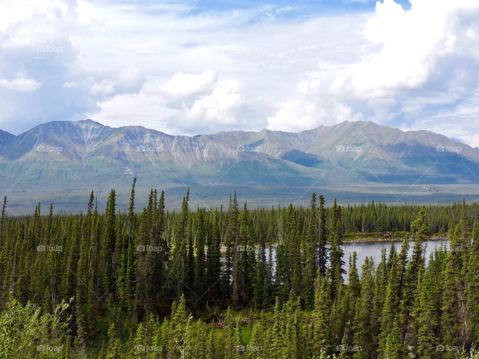 Lake In The Wilderness