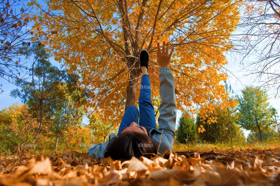 The beauty of Season Fall 