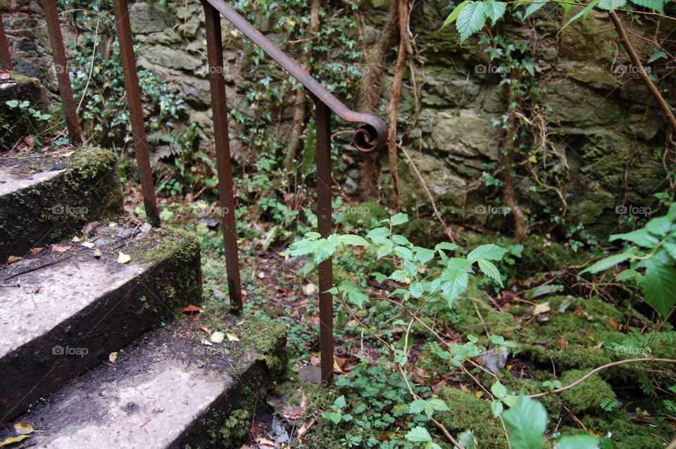 Lost Steps. a lost and lonely set of steps and rail 