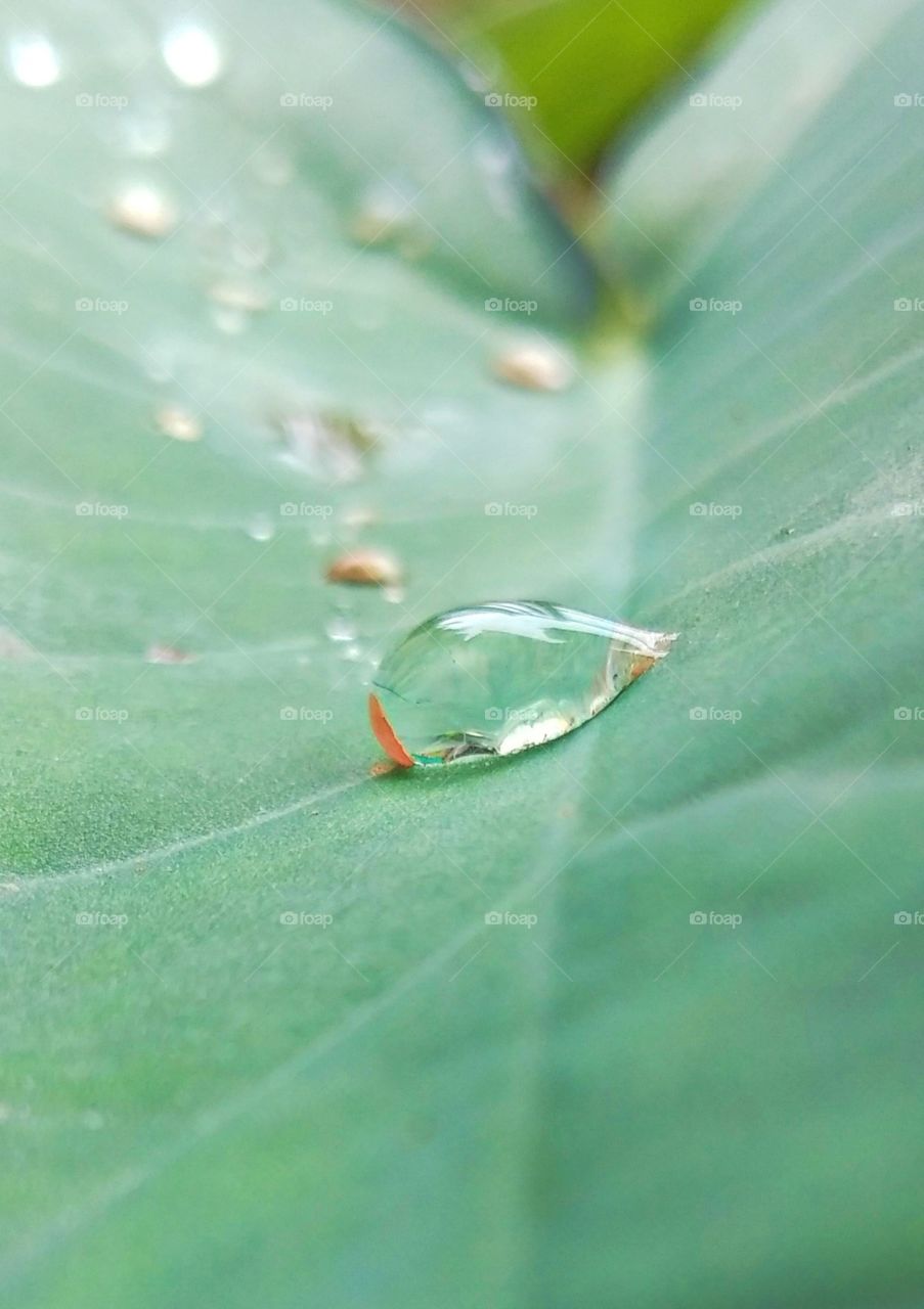 oregional mobile click vivo v9 natural