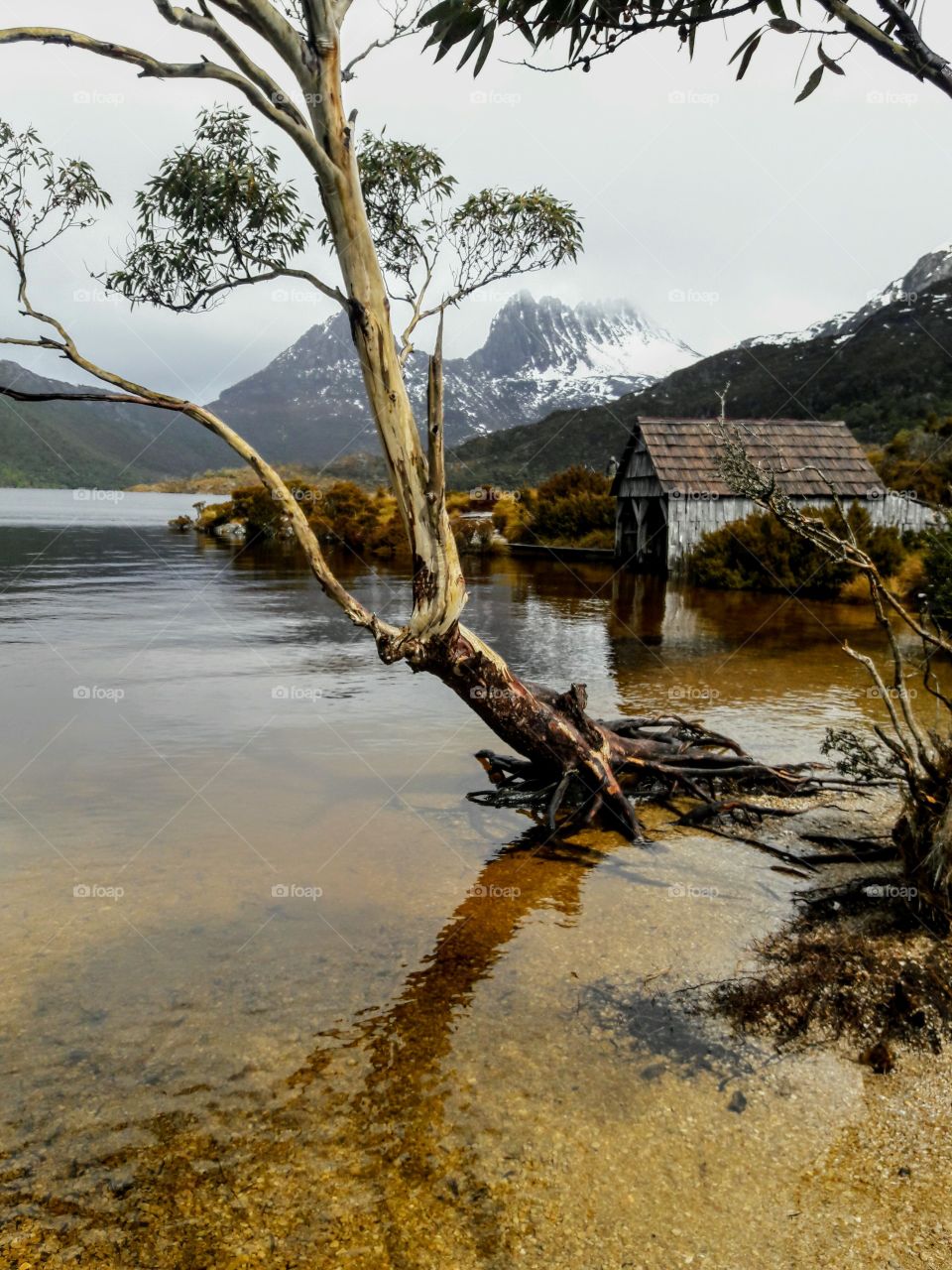 Boatshed at Dove Lake