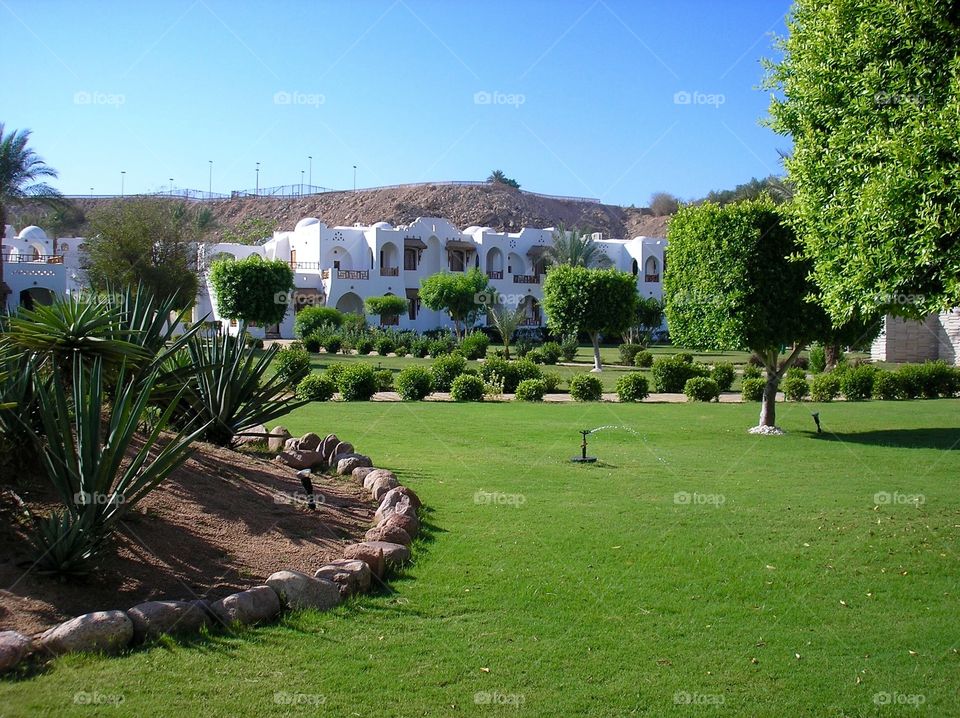 A territory of a 5 star hotel in Egypt with white buildings and green grass and trees