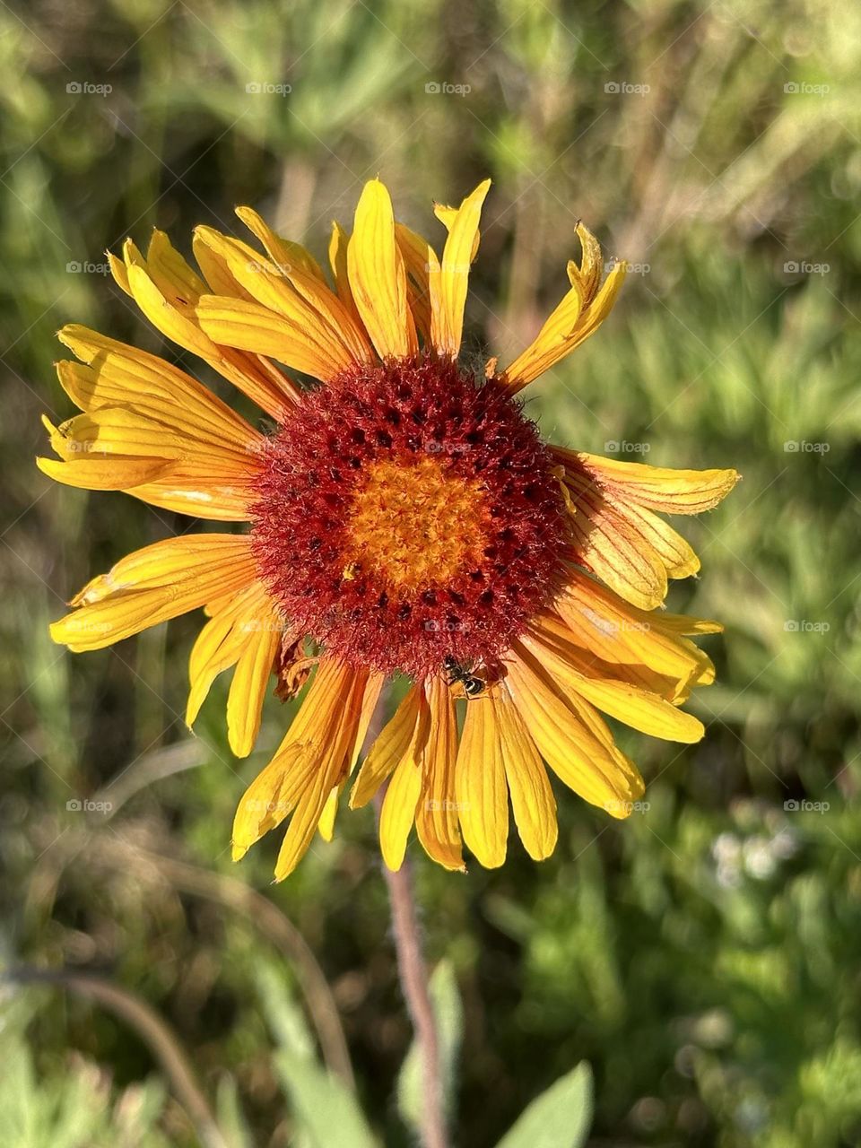 Broken but beautiful 