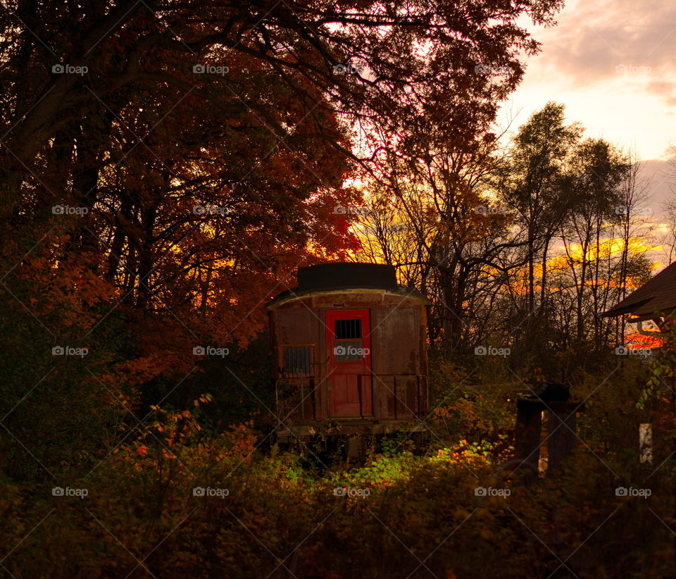 Train at Twilight hour