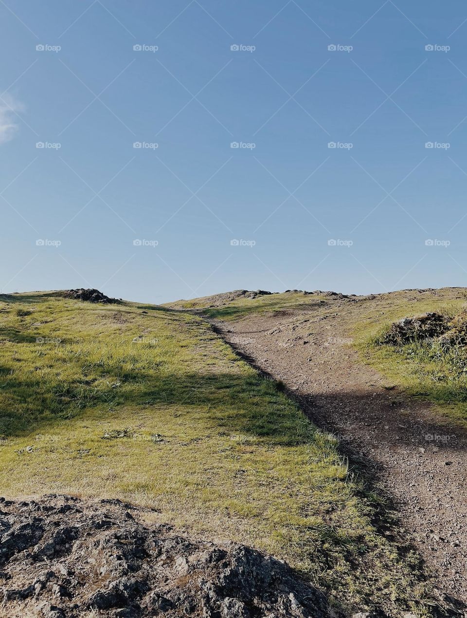 Grassy cliff in summer with clear blue sky 