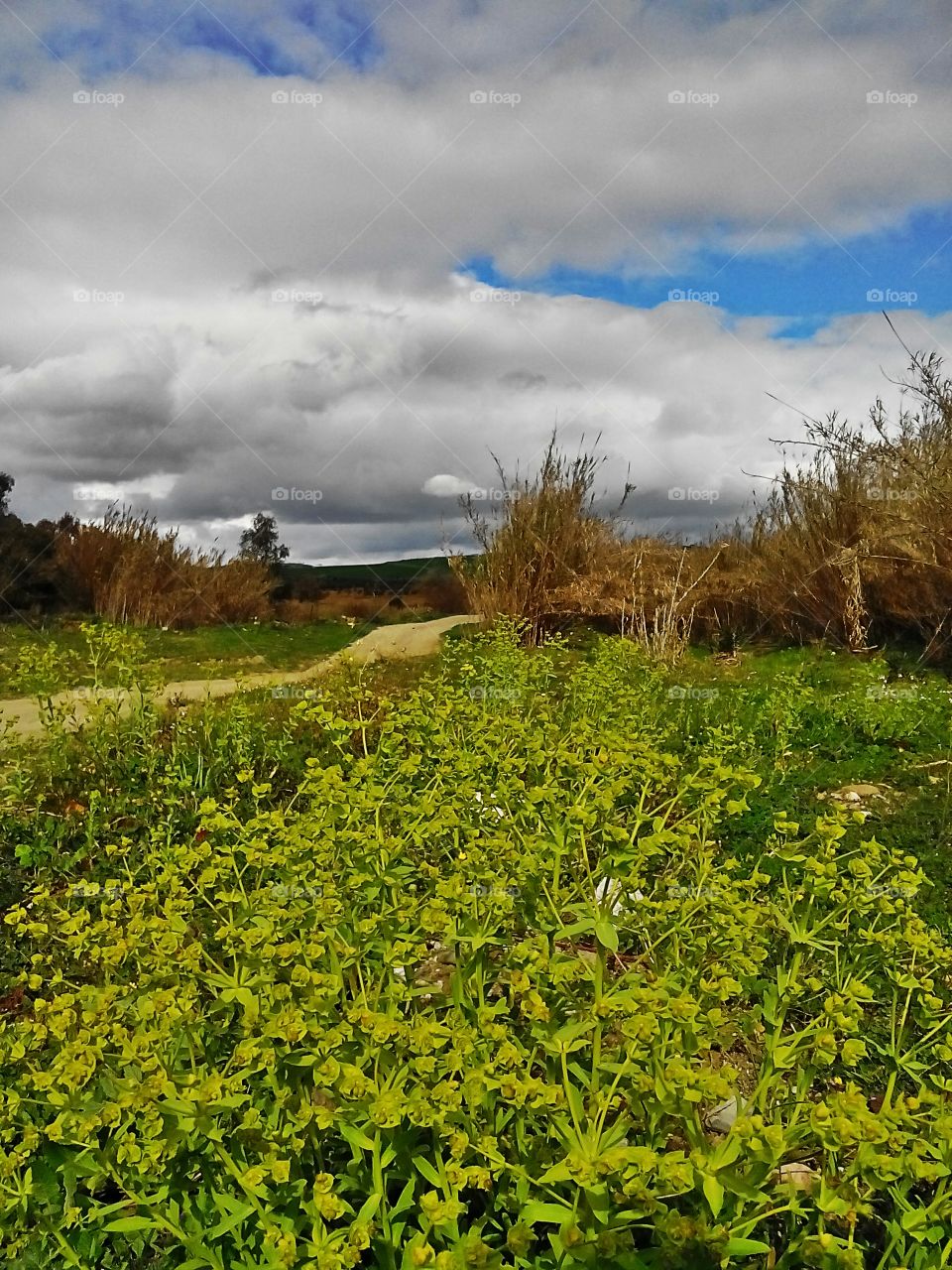 Exploring Andalucian beauty . Exploring Andalucian beauty 