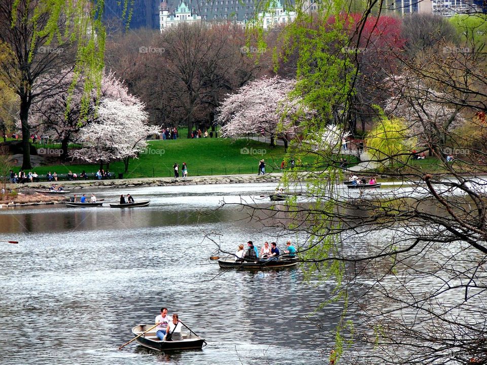Springtime in New York