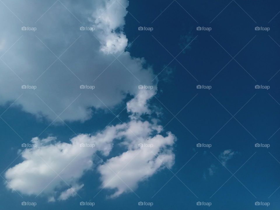 ravarma VanguvO / Sky blue / Clouds puppy / White & Gray