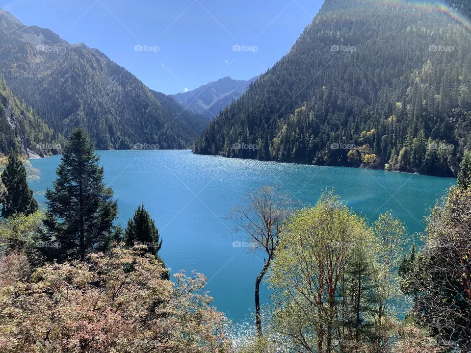 Beautiful landscape 