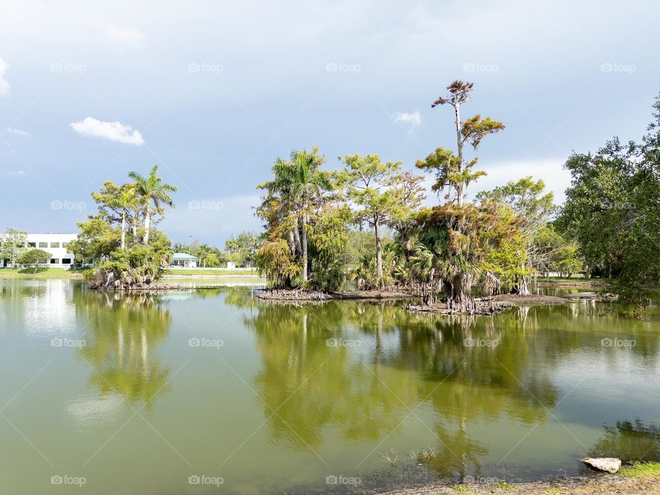 Beautiful landscapes