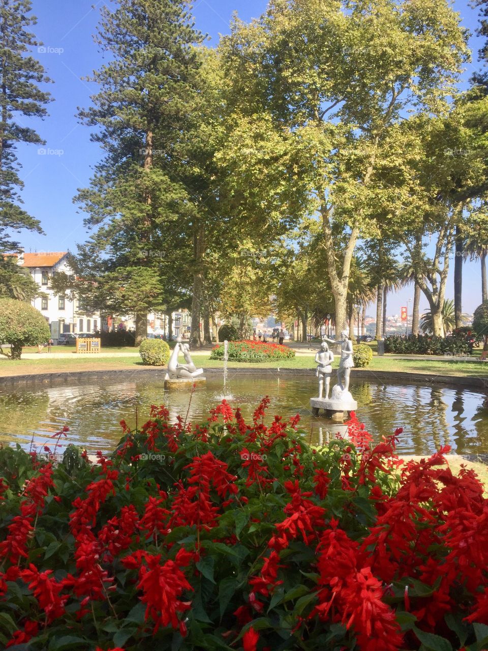 Passeio Alegre, porto, Portugal
